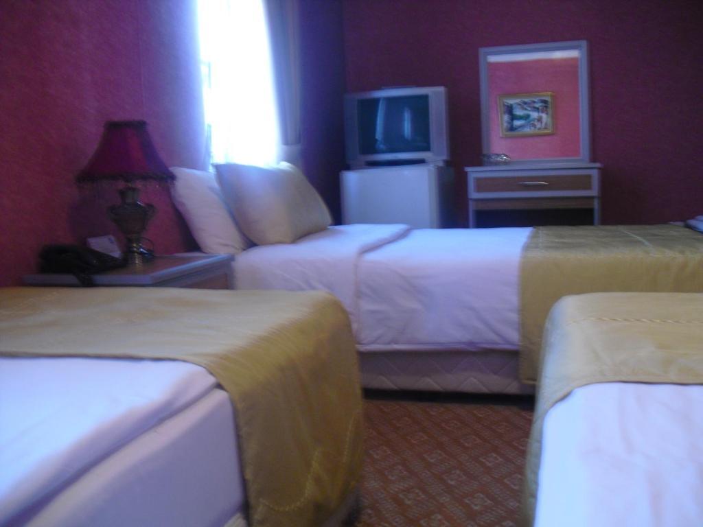 Demirgrand Hotel Trabzon Rum bild